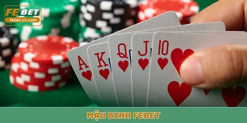 mậu binh febet